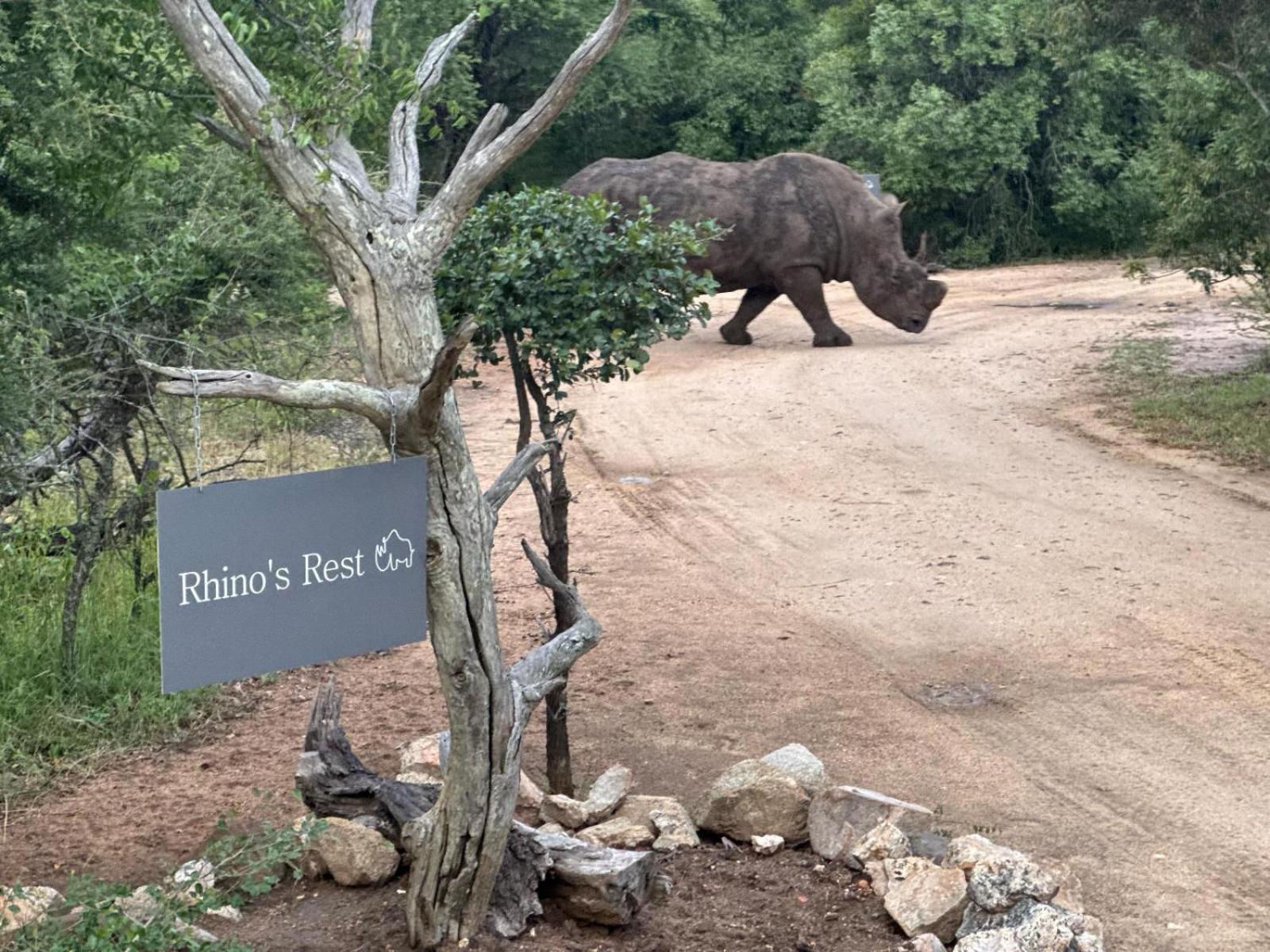 Rhino'S Rest Private Luxury Villa Hoedspruit Buitenkant foto